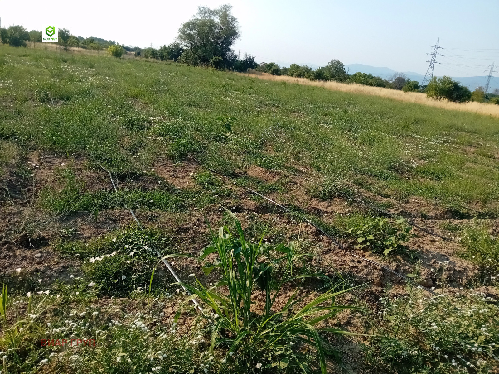 ������� ���������� ���� | Imot.bg � ����������� 1