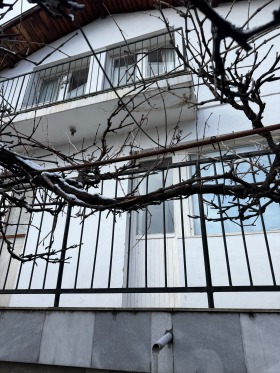 ����� ������� ����,���� �����, ��. �����