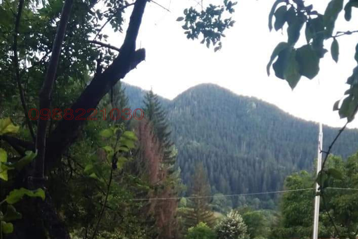 Продава КЪЩА, гр. Смолян, Каптажа