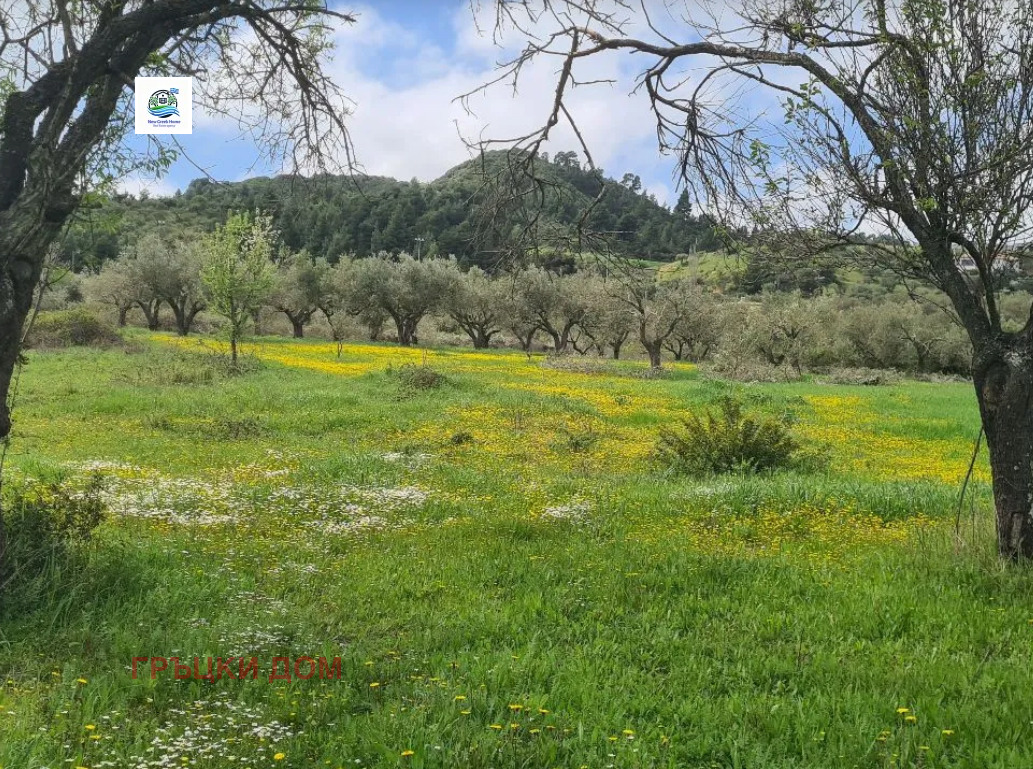 ������� ������ | Imot.bg � ����������� 4