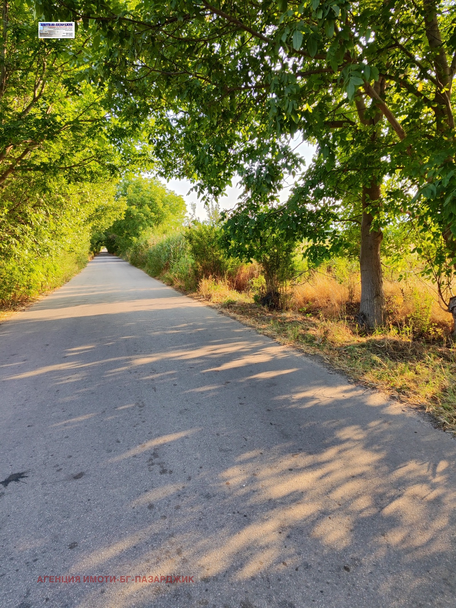 ������� ���������� ���� | Imot.bg � ����������� 2