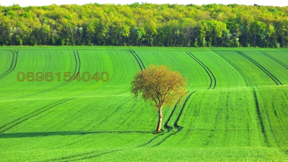 ������� ���������� ���� | Imot.bg � ����������� 1