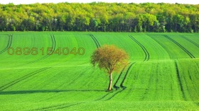 ����� ������� ���������� ����,�. ��������, ������ �������