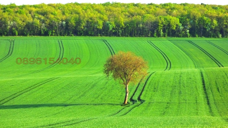 Продава ЗЕМЕДЕЛСКА ЗЕМЯ, с. Филипово, област Хасково