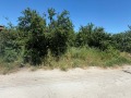 Продава КЪЩА, с. Брягово, област Пловдив, снимка 6