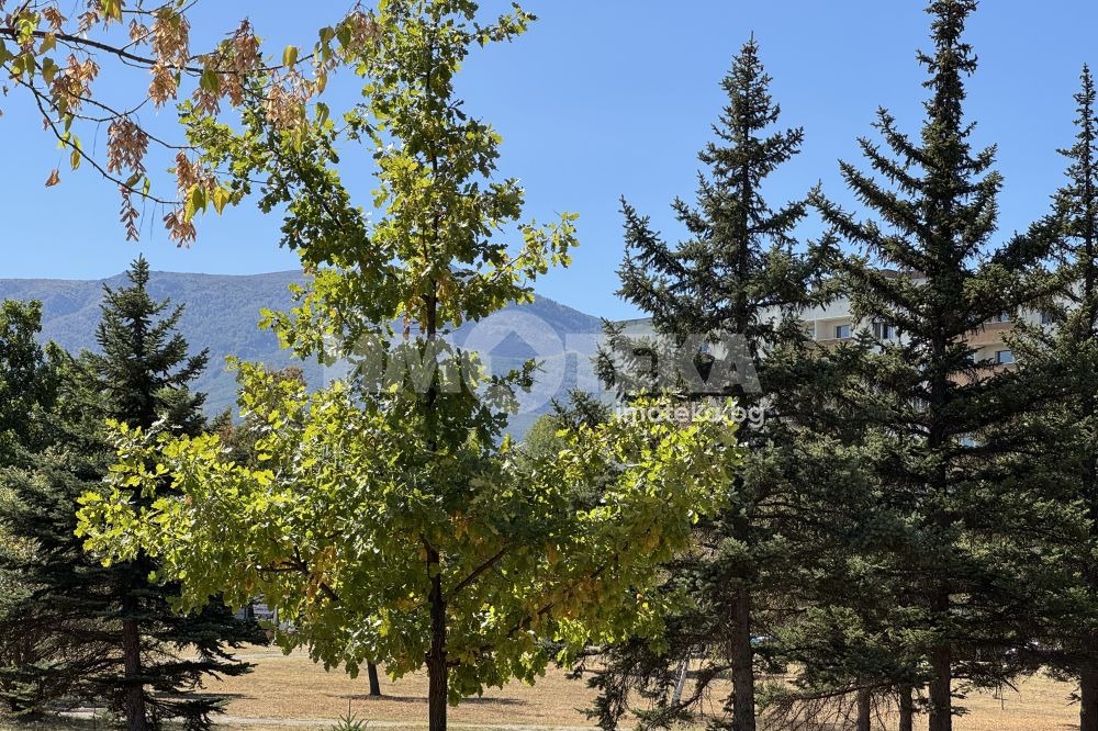 Продава 2-СТАЕН | Imot.bg — изображение 2