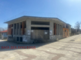 ������ ������� ����