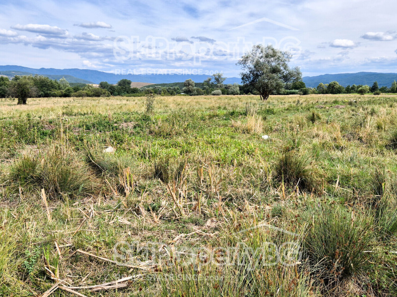 Na sprzedaż  Działka region Błagojewgrad , Bansko , 4360 mkw | 20571782 - obraz [10]
