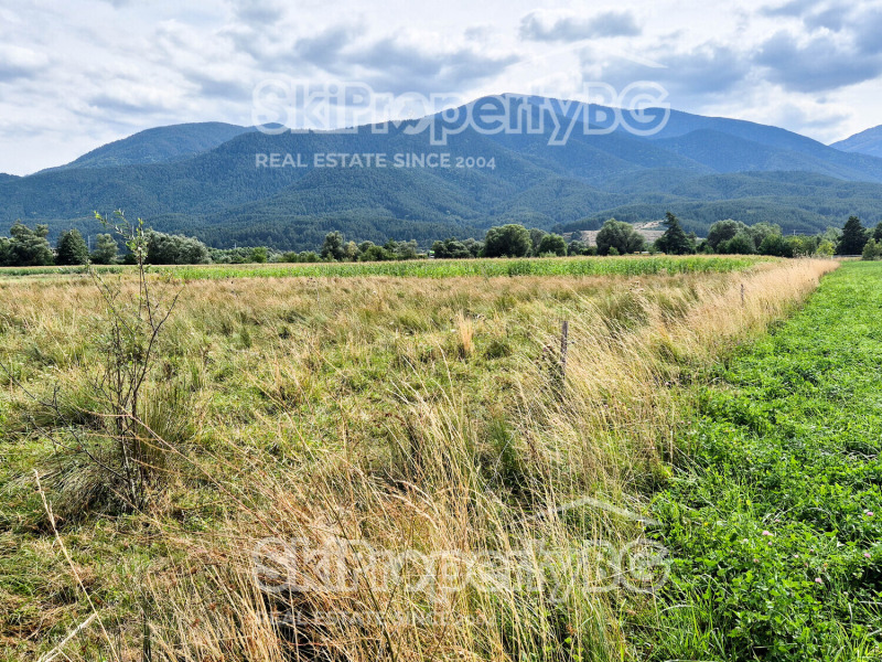 Na sprzedaż  Działka region Błagojewgrad , Bansko , 4360 mkw | 20571782 - obraz [13]