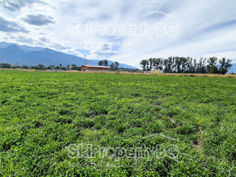 Na sprzedaż  Działka region Błagojewgrad , Bansko , 4360 mkw | 20571782 - obraz [8]