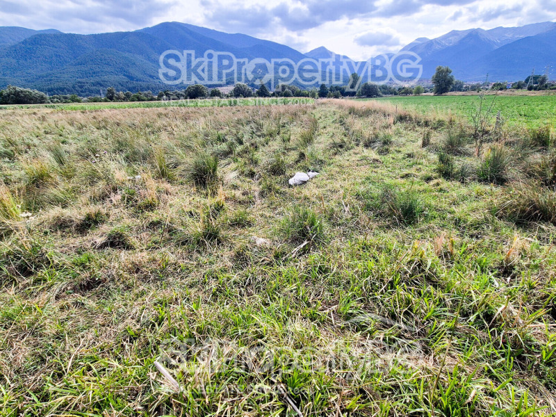 Na sprzedaż  Działka region Błagojewgrad , Bansko , 4360 mkw | 20571782 - obraz [15]