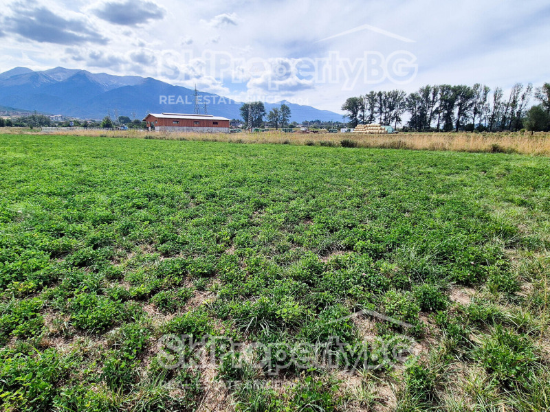 Na sprzedaż  Działka region Błagojewgrad , Bansko , 4360 mkw | 20571782 - obraz [6]