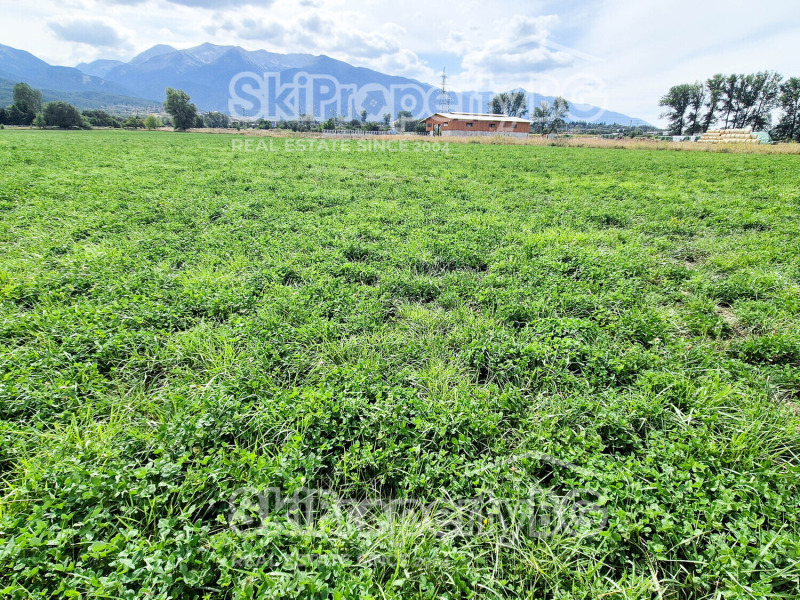 Na sprzedaż  Działka region Błagojewgrad , Bansko , 4360 mkw | 20571782 - obraz [9]