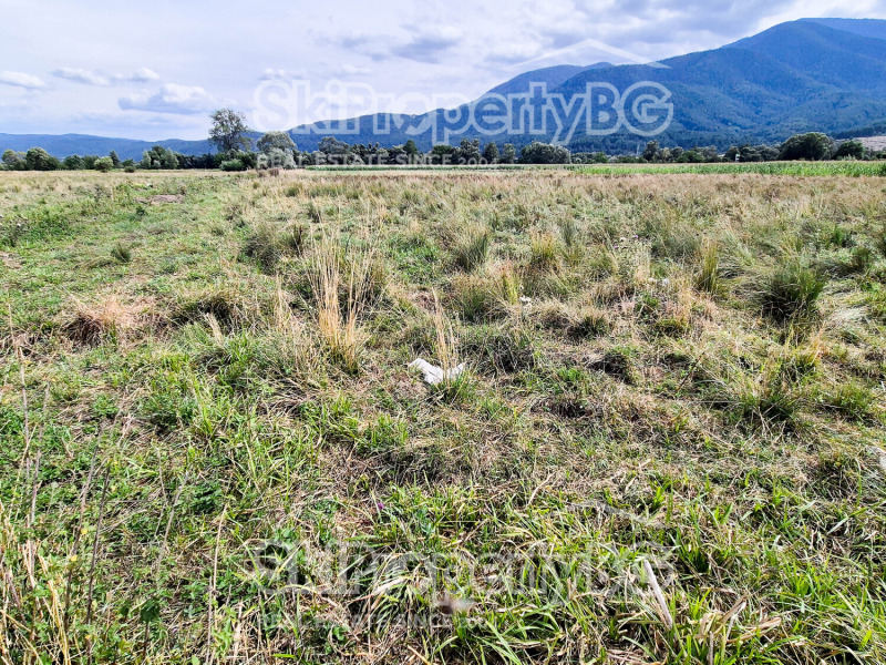 Na sprzedaż  Działka region Błagojewgrad , Bansko , 4360 mkw | 20571782 - obraz [14]