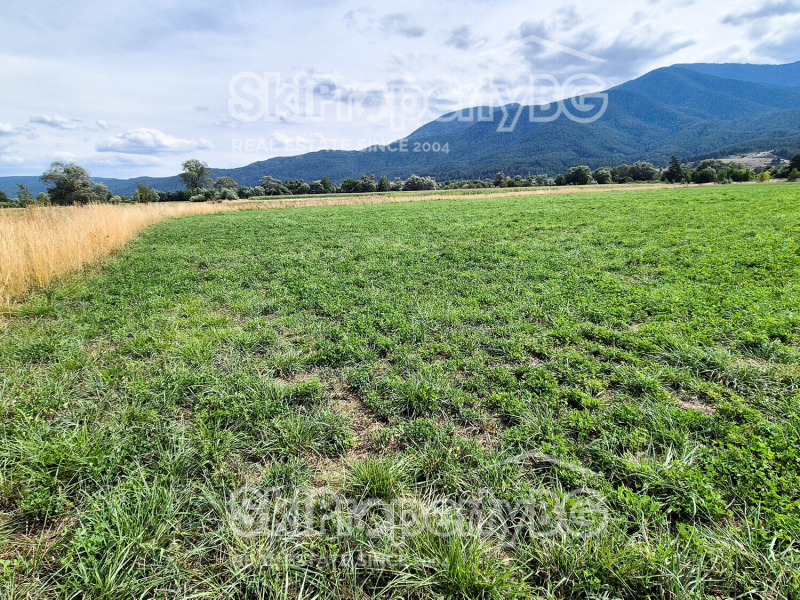 Na sprzedaż  Działka region Błagojewgrad , Bansko , 4360 mkw | 20571782 - obraz [2]
