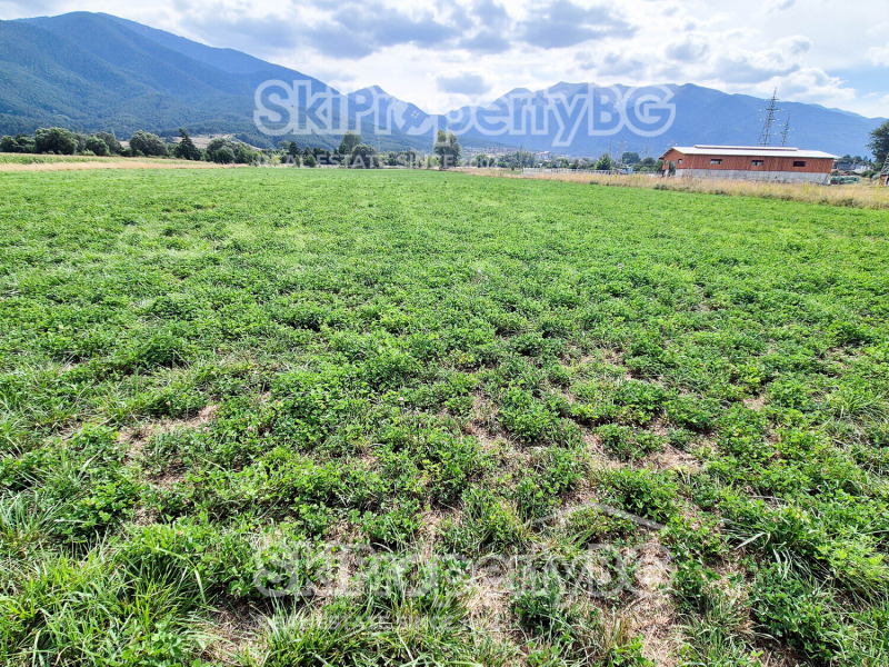 Na sprzedaż  Działka region Błagojewgrad , Bansko , 4360 mkw | 20571782 - obraz [5]