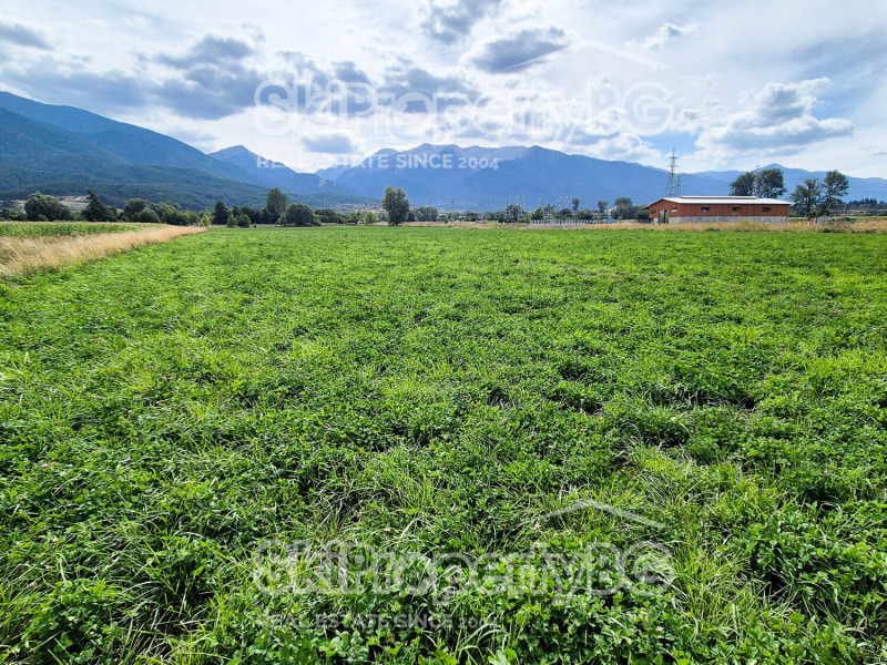 Na sprzedaż  Działka region Błagojewgrad , Bansko , 4360 mkw | 20571782 - obraz [7]