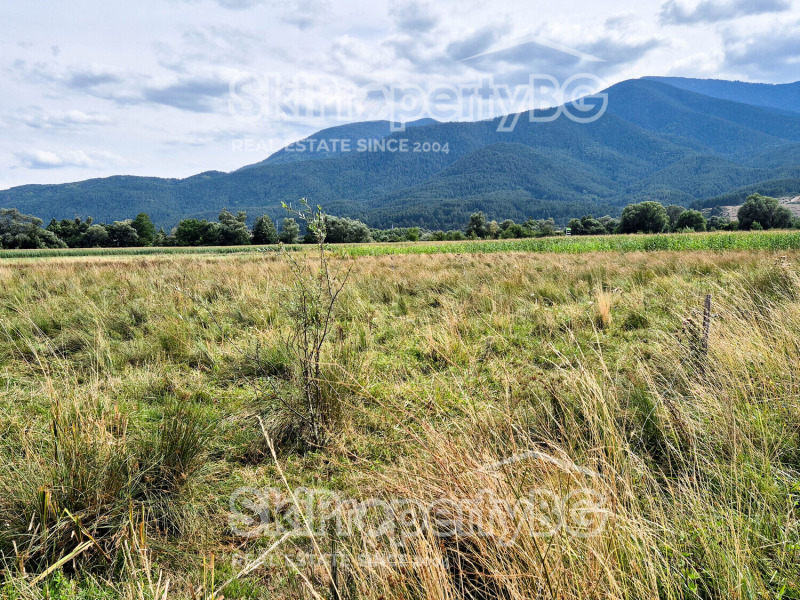 Na sprzedaż  Działka region Błagojewgrad , Bansko , 4360 mkw | 20571782 - obraz [12]