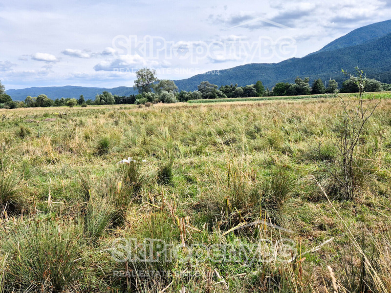 Na sprzedaż  Działka region Błagojewgrad , Bansko , 4360 mkw | 20571782 - obraz [11]