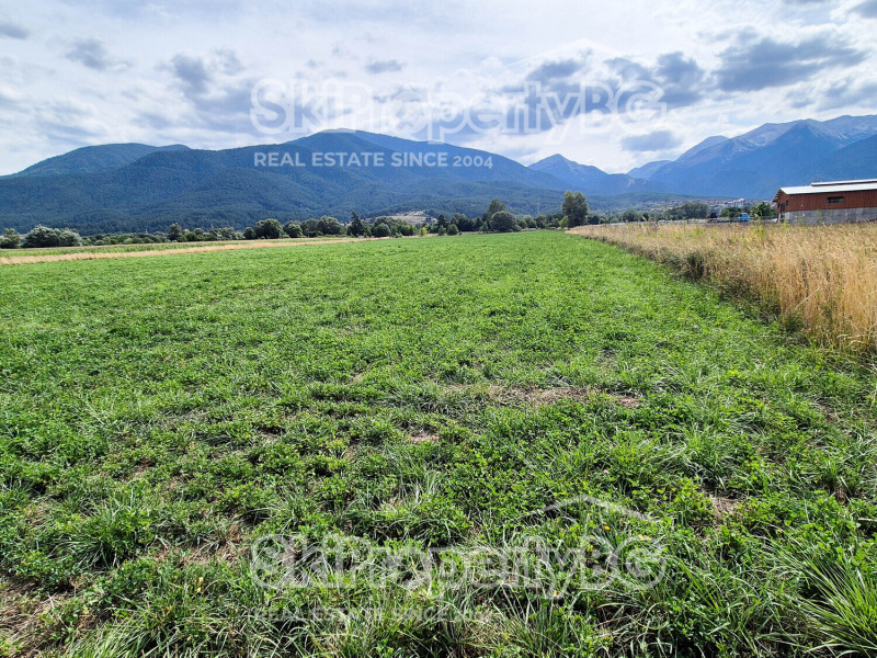 Na sprzedaż  Działka region Błagojewgrad , Bansko , 4360 mkw | 20571782 - obraz [3]