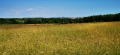 Продава ПАРЦЕЛ, гр. Царево, област Бургас, снимка 2