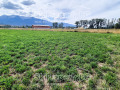 Продава ПАРЦЕЛ, област Благоевград, гр. Банско • 45990 € • 71735532 — Holmes.bg