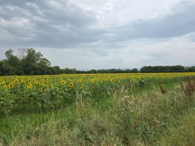 Tierra Lokorsko, región Sofia 8