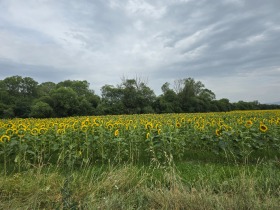 Tierra Lokorsko, región Sofia 5