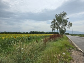 Land Lokorsko, region Sofia 7