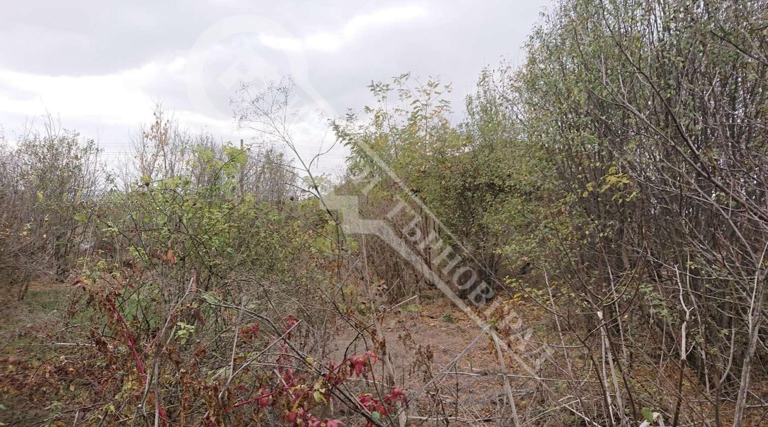 Продава КЪЩА, с. Недан, област Велико Търново, снимка 4 - Къщи - 44196007