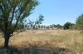 Продава ПАРЦЕЛ, област Варна, с. Аврен • 55000 € / 107570.65 лв. • 91712448 1