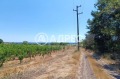 Продава ПАРЦЕЛ, област Варна, с. Аврен • 55000 € / 107570.65 лв. • 91712448 3