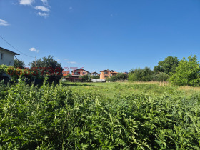 Juoni Tšepintsi, Sofia