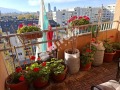 Продава  3-стаен град София , Дружба 2 , 119 кв.м | 41370546 - изображение [4]