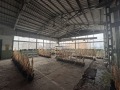 Продава ПРОМ. ПОМЕЩЕНИЕ, област Русе, с. Новград • 1760000 € / 3442260.80 лв. • 47493511 13