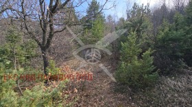 ������� ������ | Imot.bg � ����� ������ 3