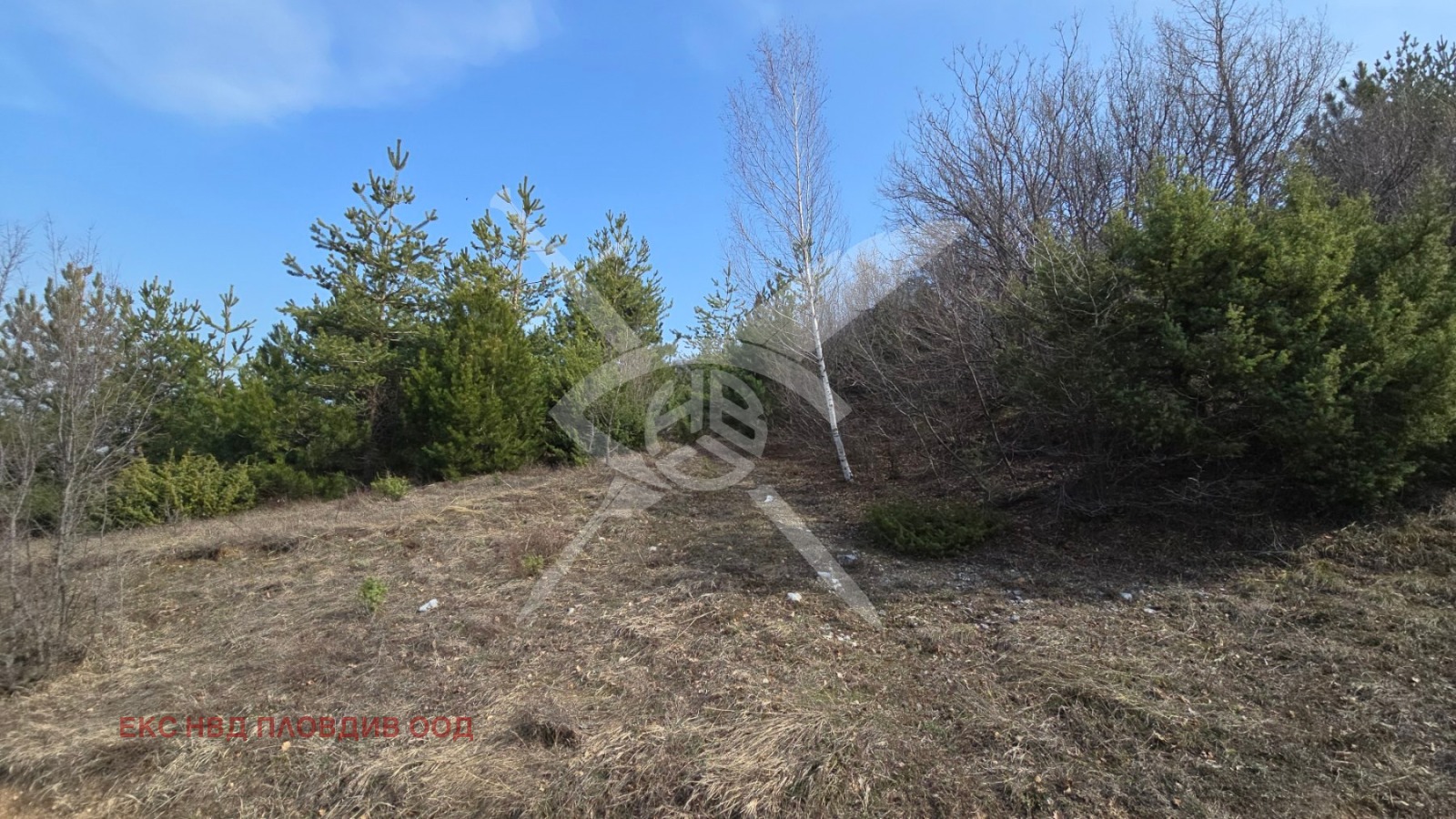 Продава ПАРЦЕЛ, с. Яврово, област Пловдив, снимка 2 - Парцели - 54197872