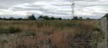 Продава ЗЕМЕДЕЛСКА ЗЕМЯ, гр. Пловдив, област Пловдив, снимка 4