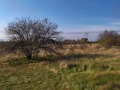 Продава ПАРЦЕЛ, област София, с. Градец • 32064 € • 83670504 — Holmes.bg