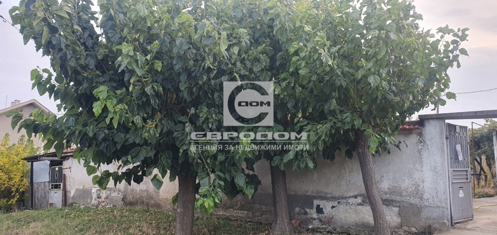 ������� ���� | Imot.bg � ����������� 4