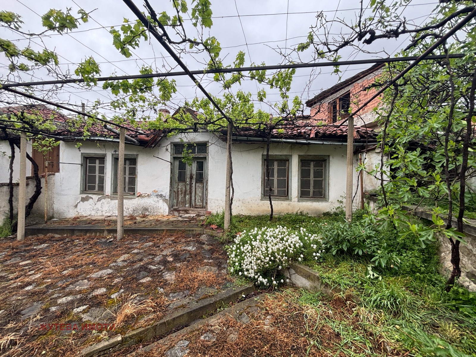 ������� ���� | Imot.bg � ����������� 1