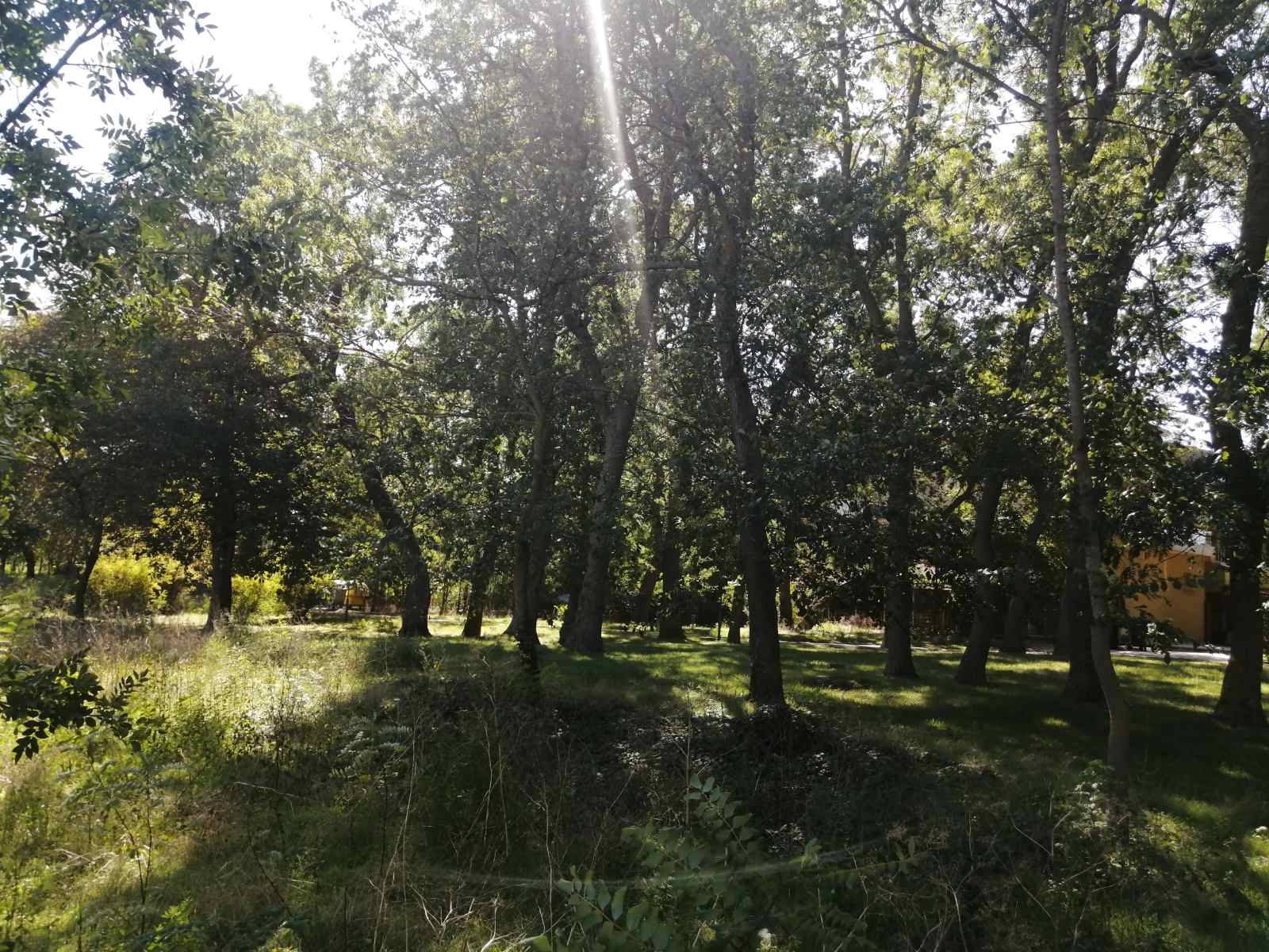 Продава ПАРЦЕЛ | Imot.bg — изображение 4