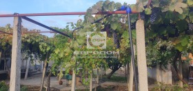 ������� ���� | Imot.bg � ����� ������ 6