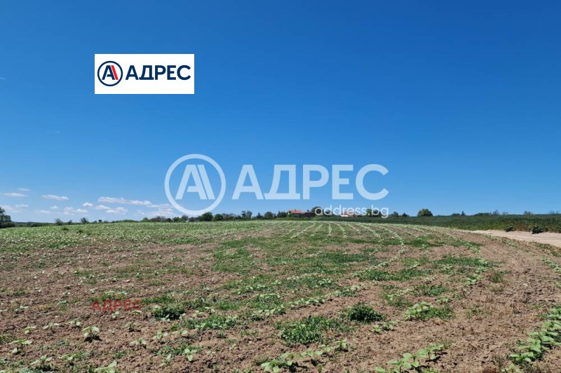 Na prodej  Spiknutí oblast Varna , Zdravec , 14465 m2 | 24882787 - obraz [3]