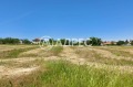 Продава ПАРЦЕЛ, област Варна, с. Здравец • 550000 € • 31903119 — Holmes.bg