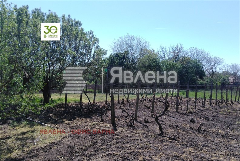 Продава КЪЩА, с. Белгун, област Добрич, снимка 8 - Къщи - 49365467