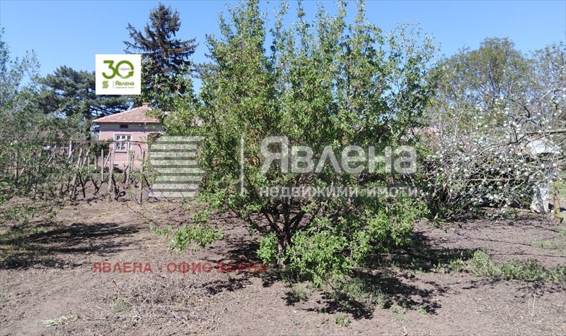 Продава КЪЩА, с. Белгун, област Добрич, снимка 6 - Къщи - 49365467