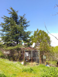 Продава  Вила град Бургас , Черно море , 40 кв.м | 95888923 - изображение [2]