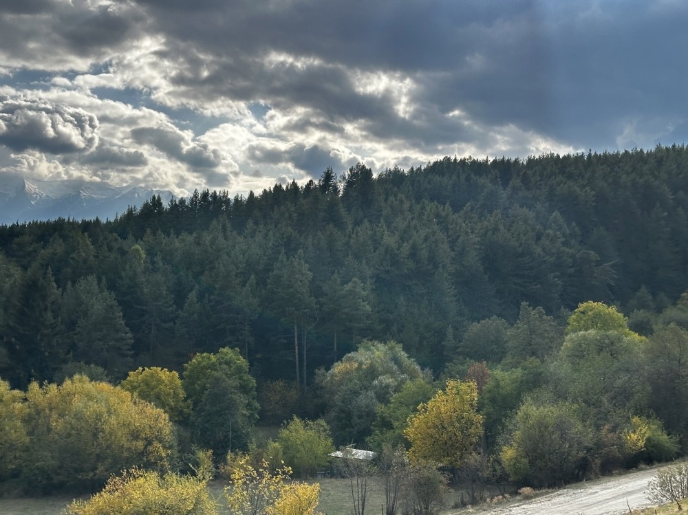 ������� ������ | Imot.bg � ����������� 6