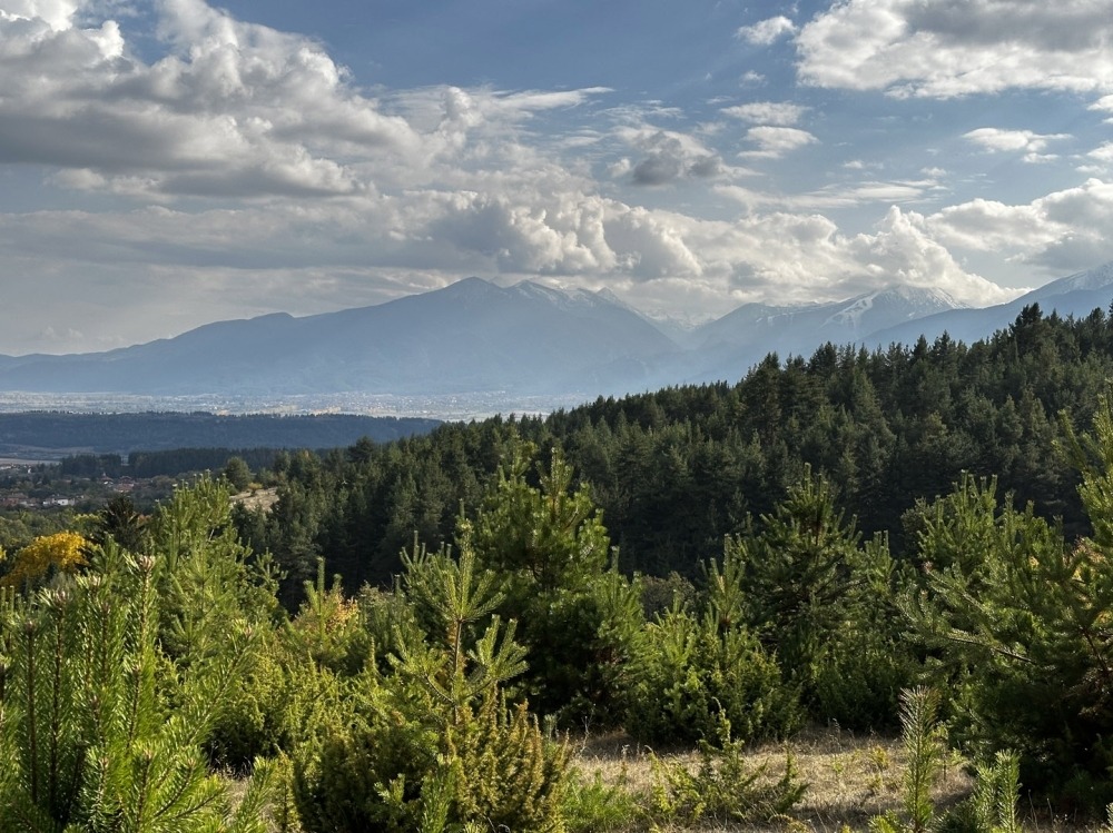 ������� ������ | Imot.bg � ����������� 16